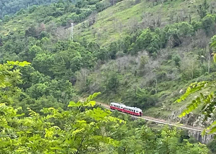 Domaine Les Roches
