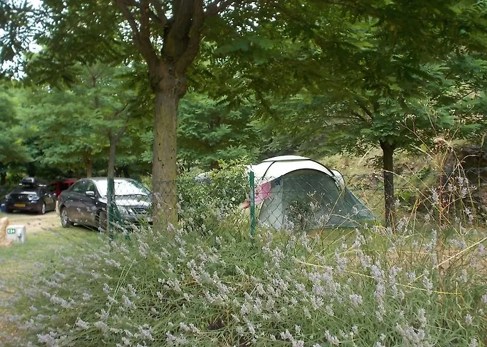 캠프장 Domaine Les Roches