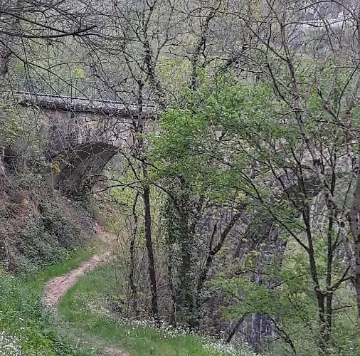 캠프장 Domaine Les Roches