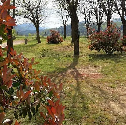 캠프장 Domaine Les Roches