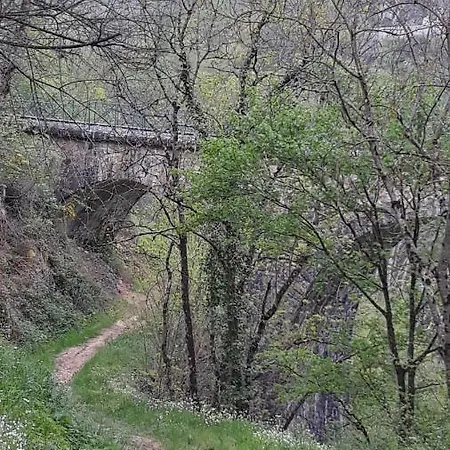 キャンプ場 Domaine Camping Les Roches